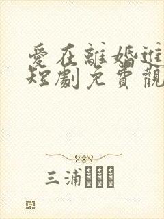 爱在离婚进行时短剧免费观看