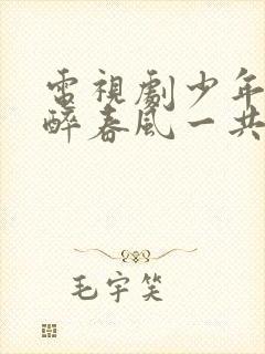 电视剧少年白马醉春风一共多少集