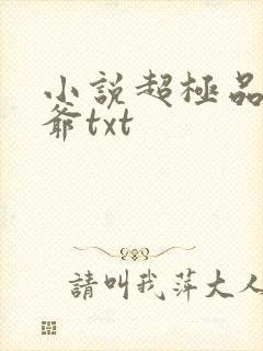小说超极品万岁爷txt