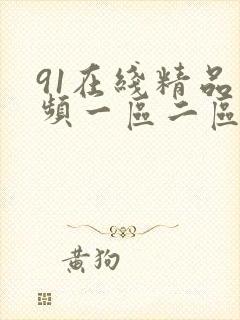 91在线精品视频一区二区