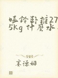 哑铃卧推27.5kg 什么水平