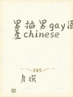 男插男gay国产chinese