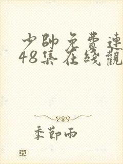 少帅免费连续剧48集在线观看策驰影院