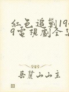 红色追剿1949电视剧全集免费观看