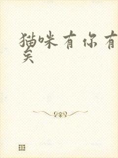 猫咪有你有我足矣