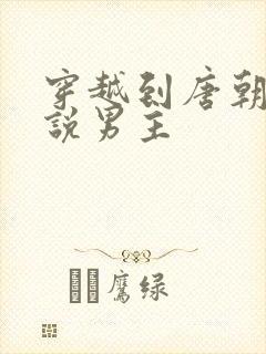 穿越到唐朝的小说男主