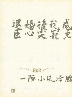 退婚后我成了权臣心尖宠免费小说