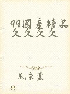 99国产精品久久久久久