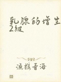 乳腺的增生结节2级