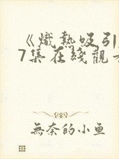 《炽热吸引》17集在线观看