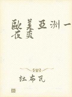 欧美亚洲一级夜夜爽封面