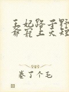 王妃路子野,王爷宠上天短剧