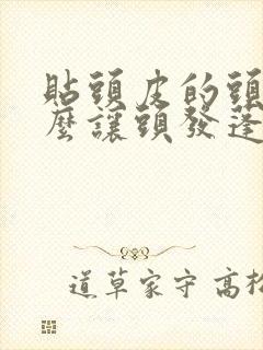 贴头皮的头发怎么让头发蓬松起来