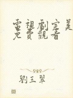 电视剧完美伴侣免费观看