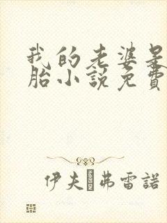 我的老婆是双胞胎小说免费阅读