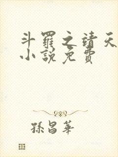 斗罗之靖天斗罗小说免费