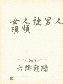 女人被男人调教视频