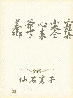 姜爷心尖宠她从乡下来全集