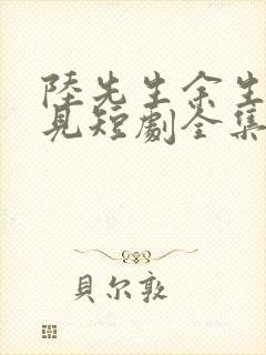 陆先生余生不再见短剧全集免费观看封面