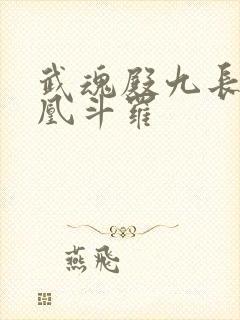 武魂殿九长老霓凰斗罗