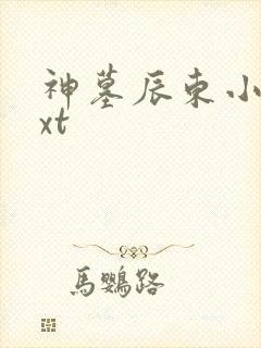 神墓辰东小说txt