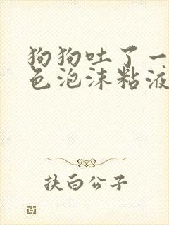 狗狗吐了一滩白色泡沫粘液还拉稀