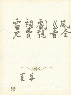 电视剧《风云》免费观看全集