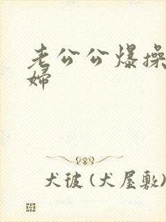 老公公爆操儿媳妇