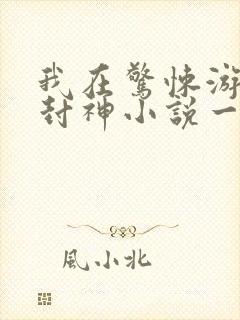 我在惊悚游戏里封神小说一共几本