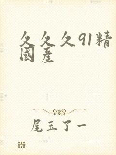 久久久91精品国产封面