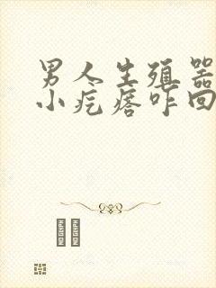 男人生殖器里有小疙瘩咋回事