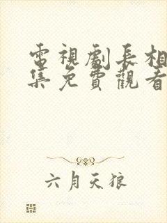 电视剧长相思全集免费观看高清