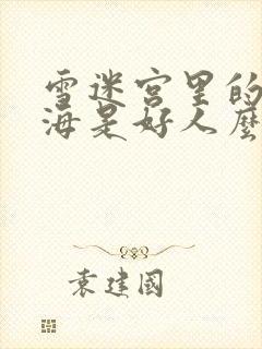 雪迷宫里的姜小海是好人么封面