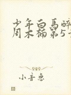 少年白马醉春风周木楠第5章