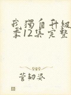 我独自升级第二季12集完整版观看