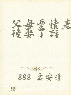 父母爱情老丁最后娶了谁