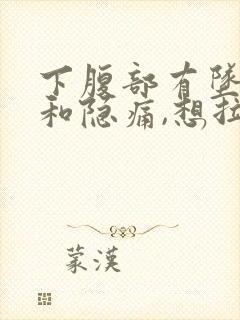 下腹部有坠胀感和隐痛,想拉大便