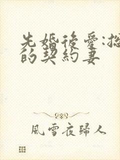 先婚后爱:总裁的契约妻