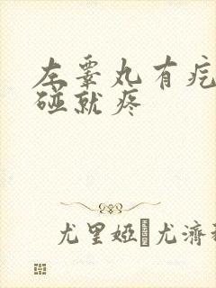 左睾丸有疙瘩一碰就疼