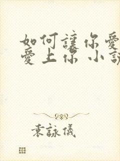 如何让你爱的人爱上你 小说封面