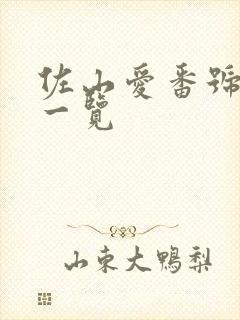 佐山爱番号作品一览