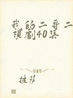 我的二哥二嫂电视剧40集