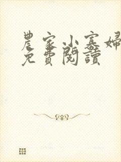 农家小寡妇全文免费阅读