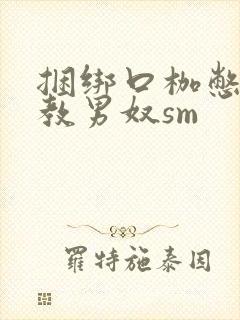 捆绑口枷憋尿调教男奴sm