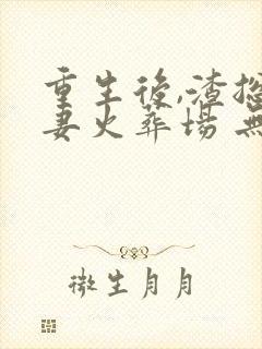 重生后,渣总追妻火葬场 无尽夏