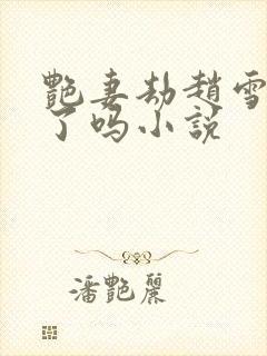 艳妻劫赵雪出轨了吗小说