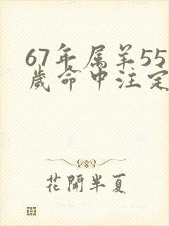 67年属羊55岁命中注定寿命