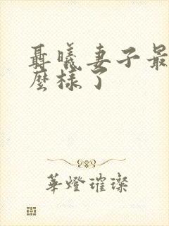 聂曦妻子最后怎么样了