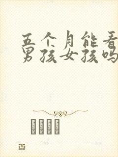 五个月能看出来男孩女孩吗封面