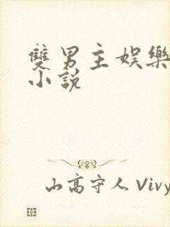 双男主娱乐圈的小说